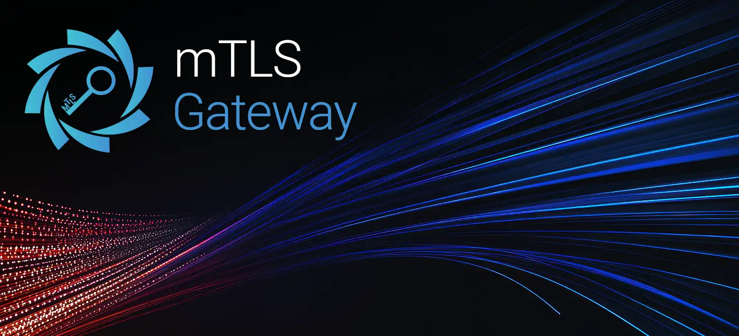 mTLS Gateway Developer Documentation